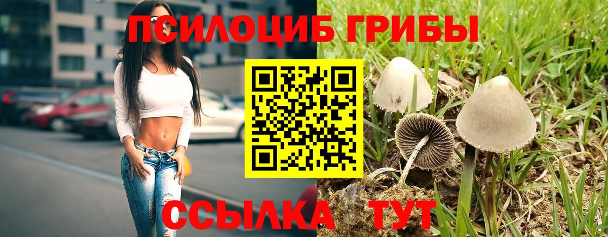 Белорецк  Галлюциногенные грибы прущие грибы  Вход с VPN 